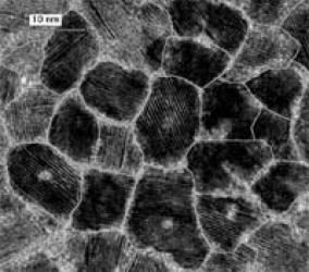 Poussiere Disque Dur Donnees - illustration 7